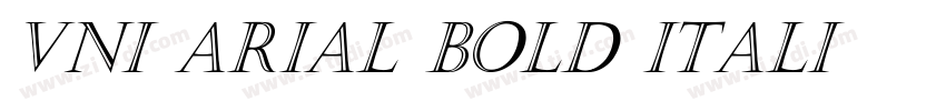 VNI Arial Bold Itali字体转换